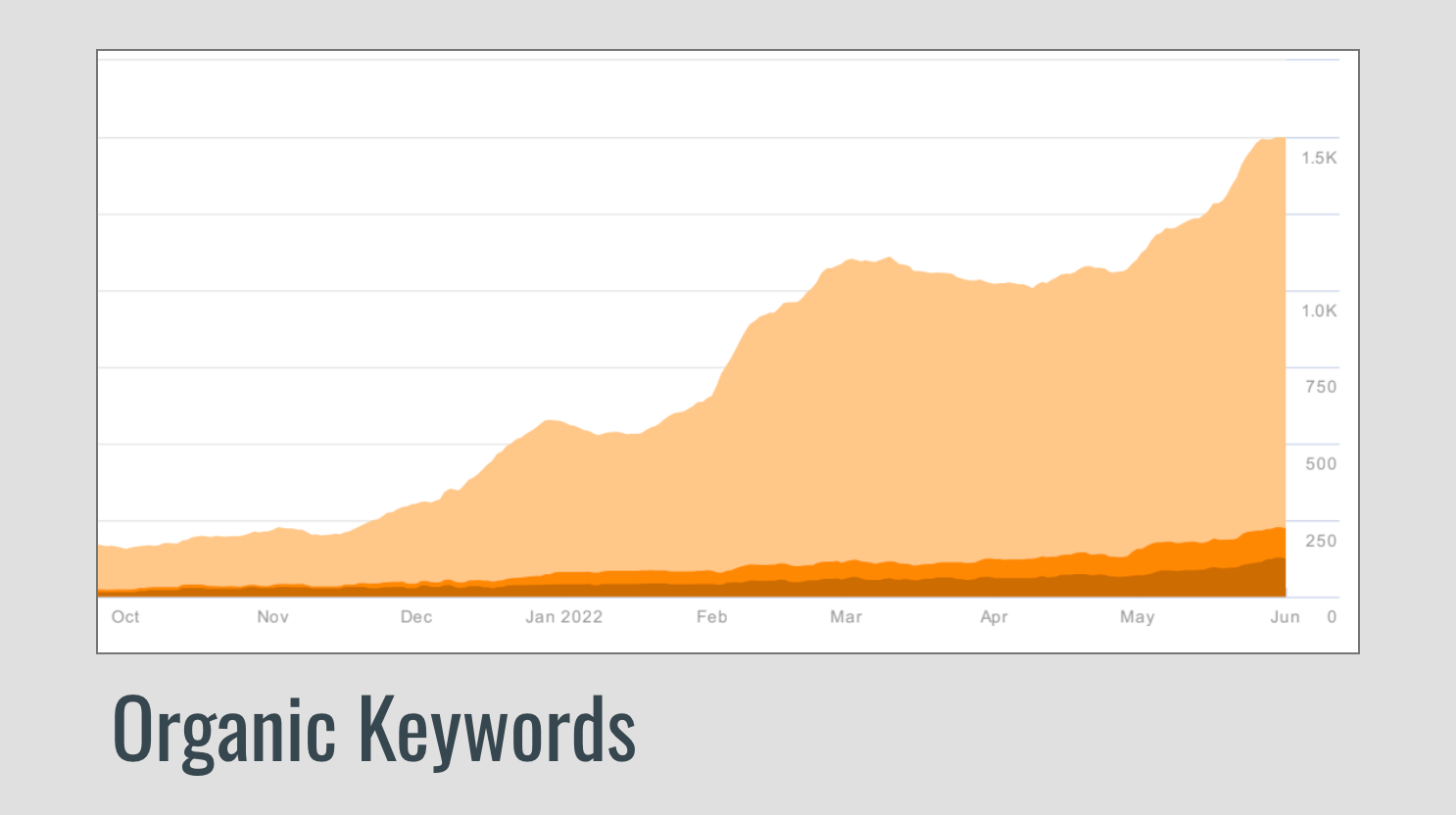 Ladies Shoe Brand keyword growth